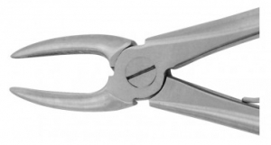 Extracting Forceps Small Beak Closed Tip